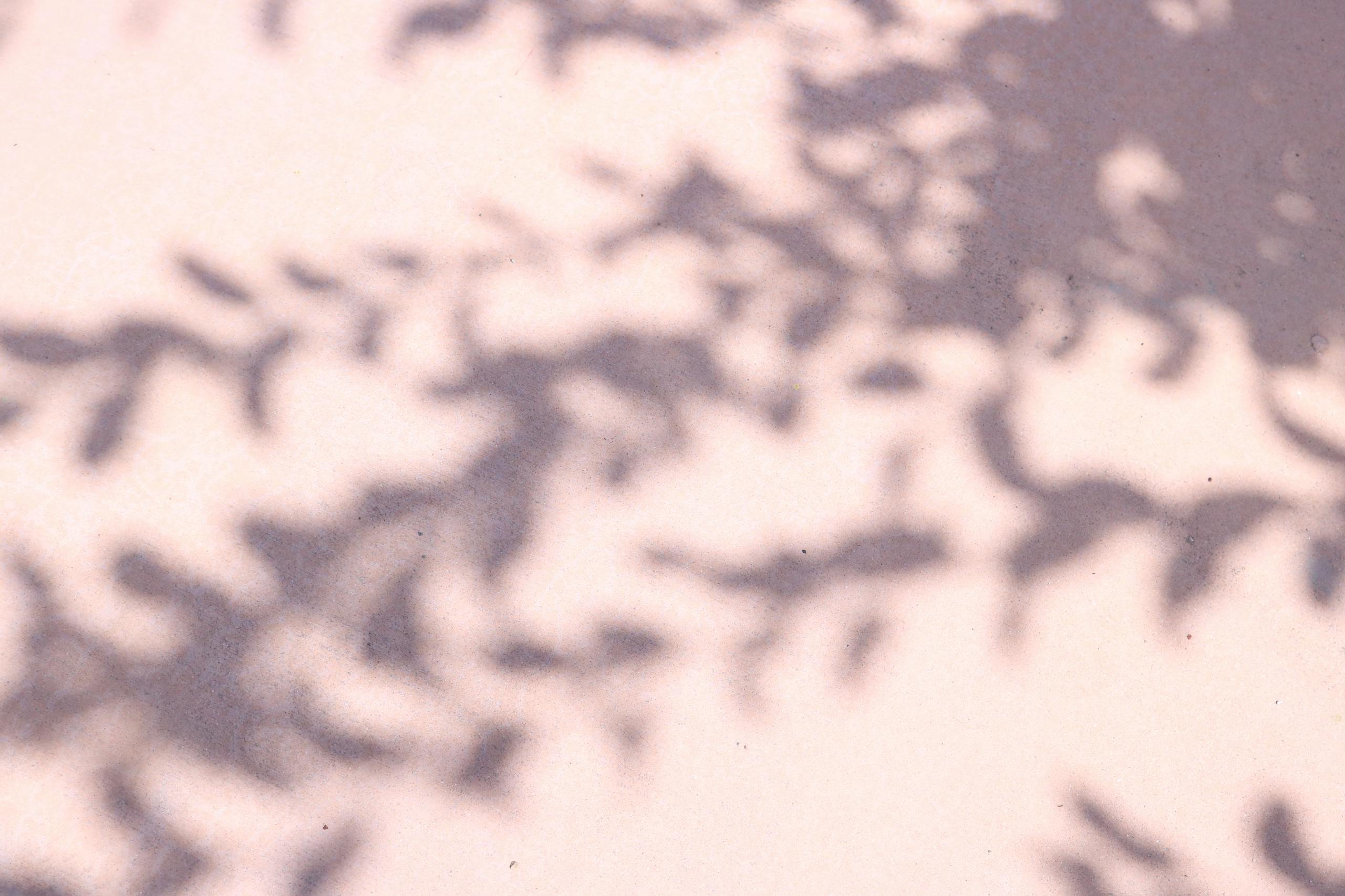 ventsMagazine Abstract shadows of foliage on a pastel background create a tranquil and artistic pattern.