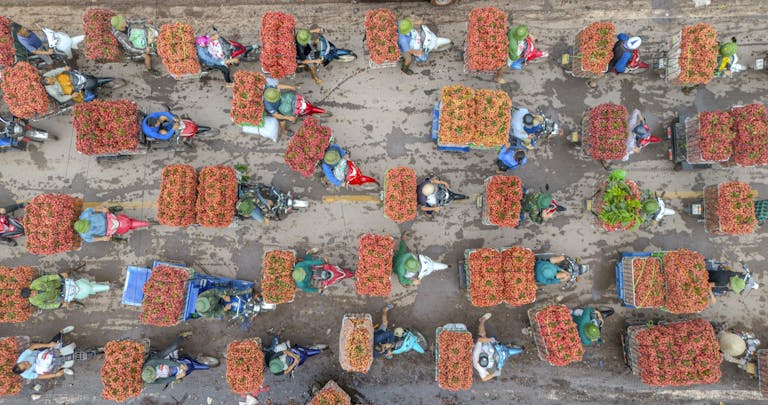 bac stock Aerial shot of vibrant lychee market in Bac Giang, Vietnam. Vespa scooters carrying lychee baskets.
