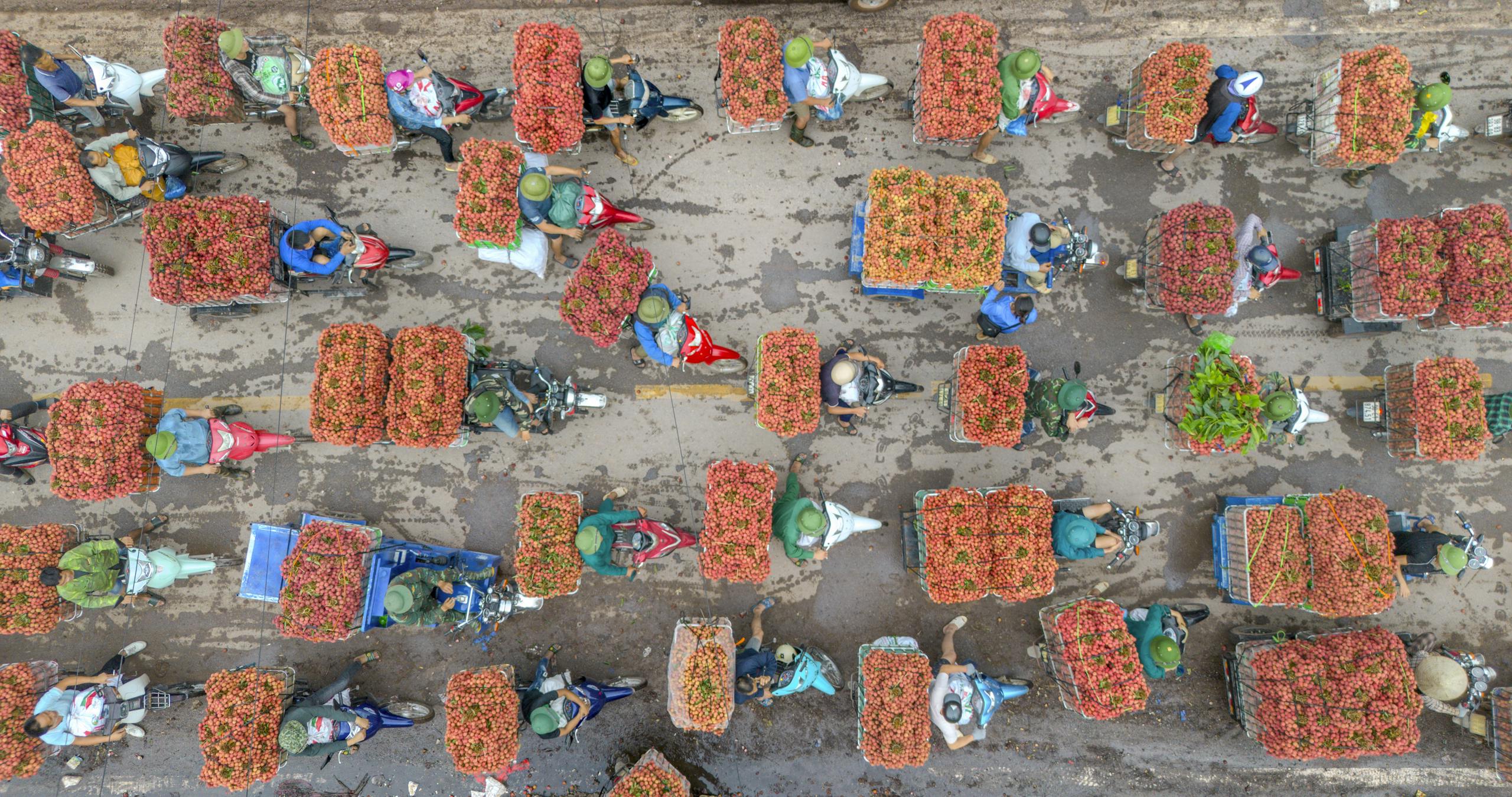 bac stock Aerial shot of vibrant lychee market in Bac Giang, Vietnam. Vespa scooters carrying lychee baskets.