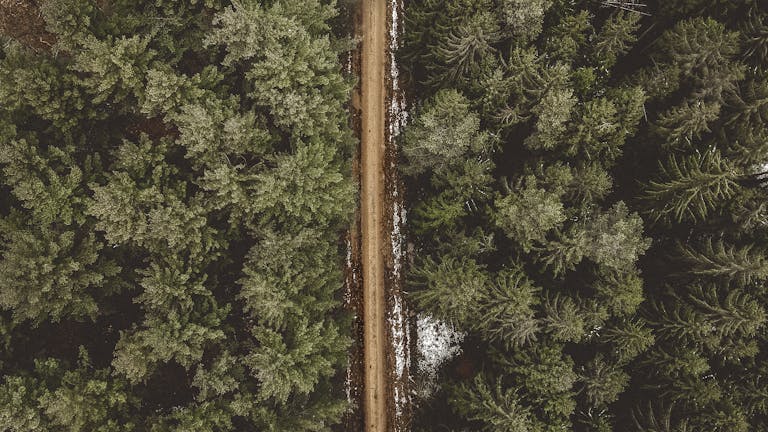 Messagenal An aerial shot of a forest road dividing two lush green areas in a snowy landscape.