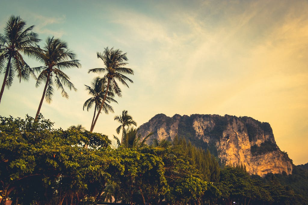 Pak vs Ind Scenic view of towering limestone cliffs and palm trees in Krabi, Thailand at sunset.