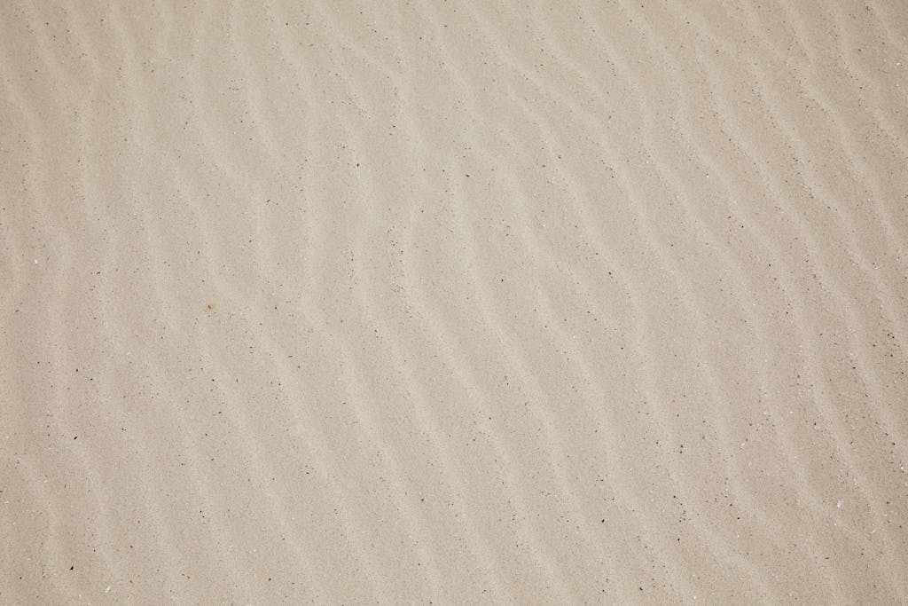 Bottlecrunch Top view of empty dry plain surface of beach covered with sand in daytime